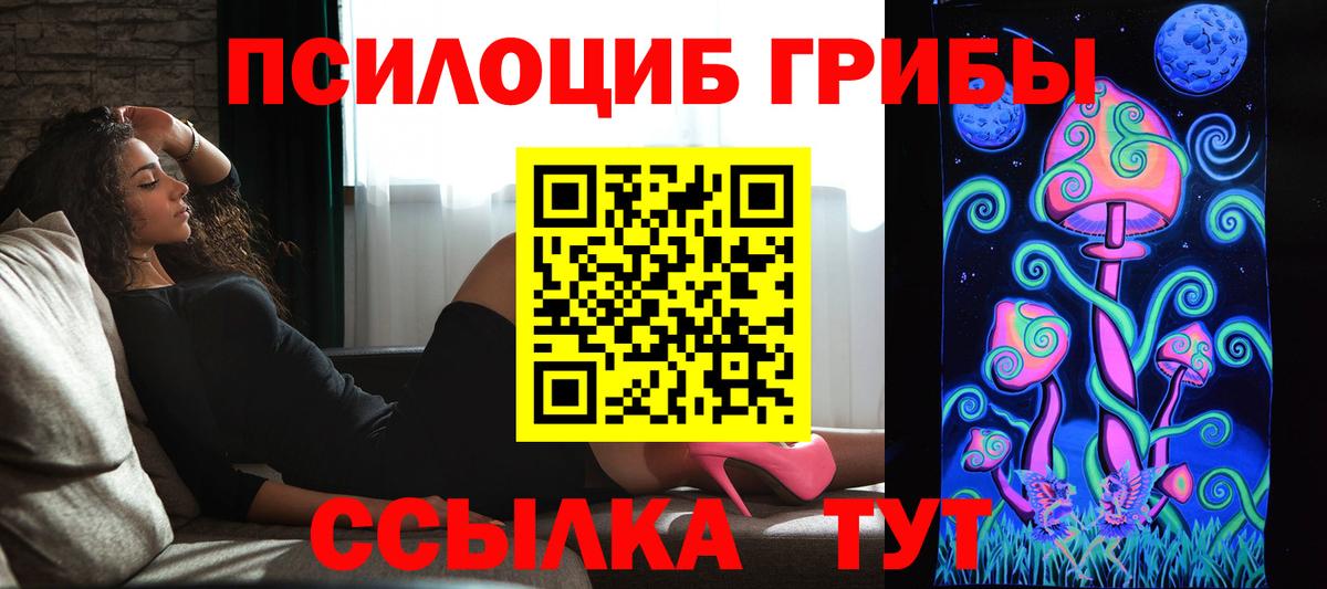 Галлюциногенные грибы GOLDEN TEACHER Чернушка