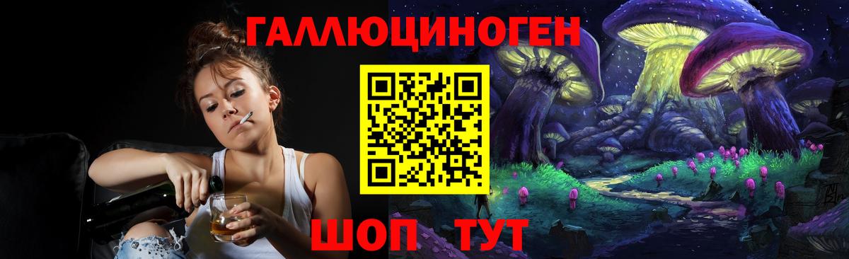 Чернушка  Псилоцибиновые грибы Psilocybe  купить   Вход с VPN  Галлюциногенные грибы мухоморы 